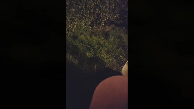 2horny2gay  04-04-2022